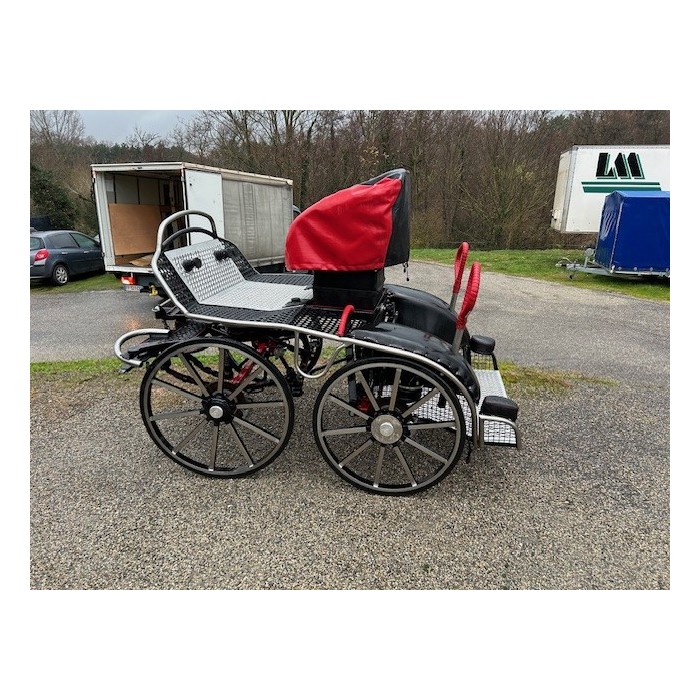 OCCASION Tiger 350 - paire cheval