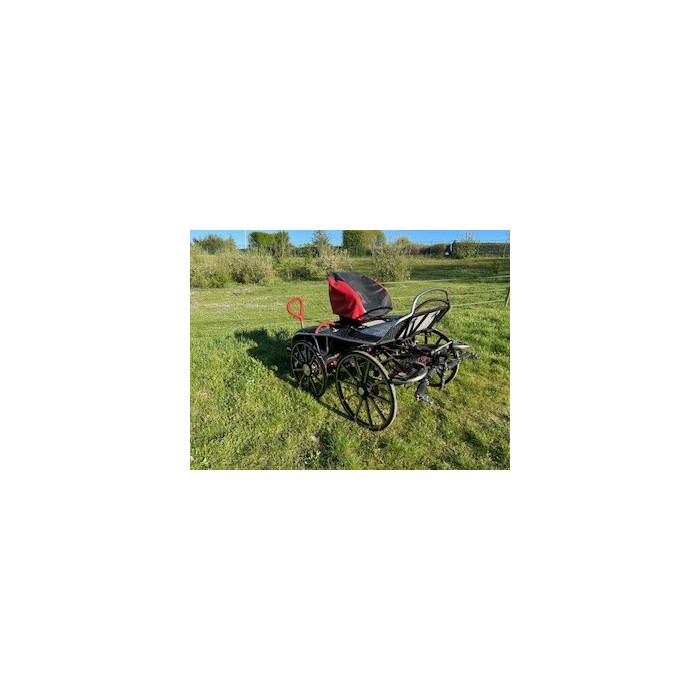 OCCASION Tiger 350 - paire cheval