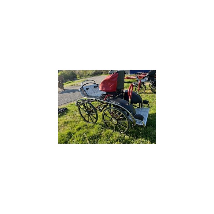 OCCASION Tiger 350 - paire cheval