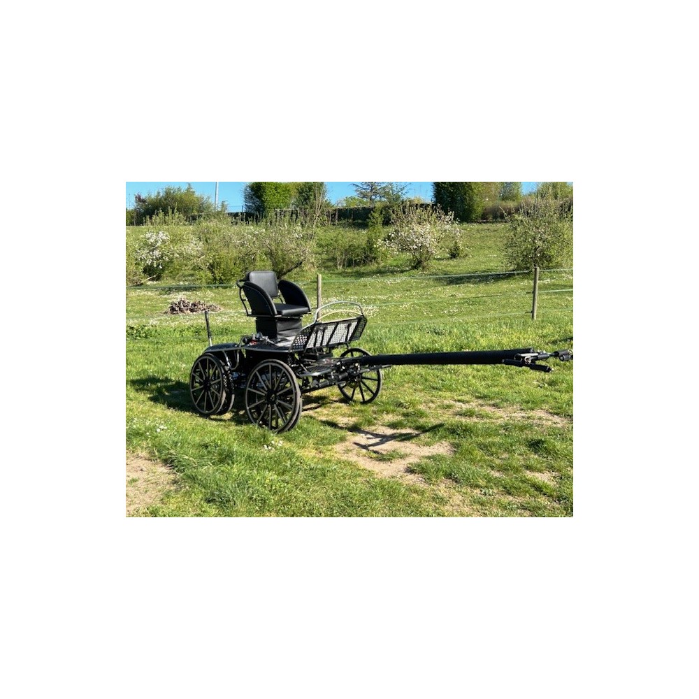 OCCASION Tiger 2/4 poneys