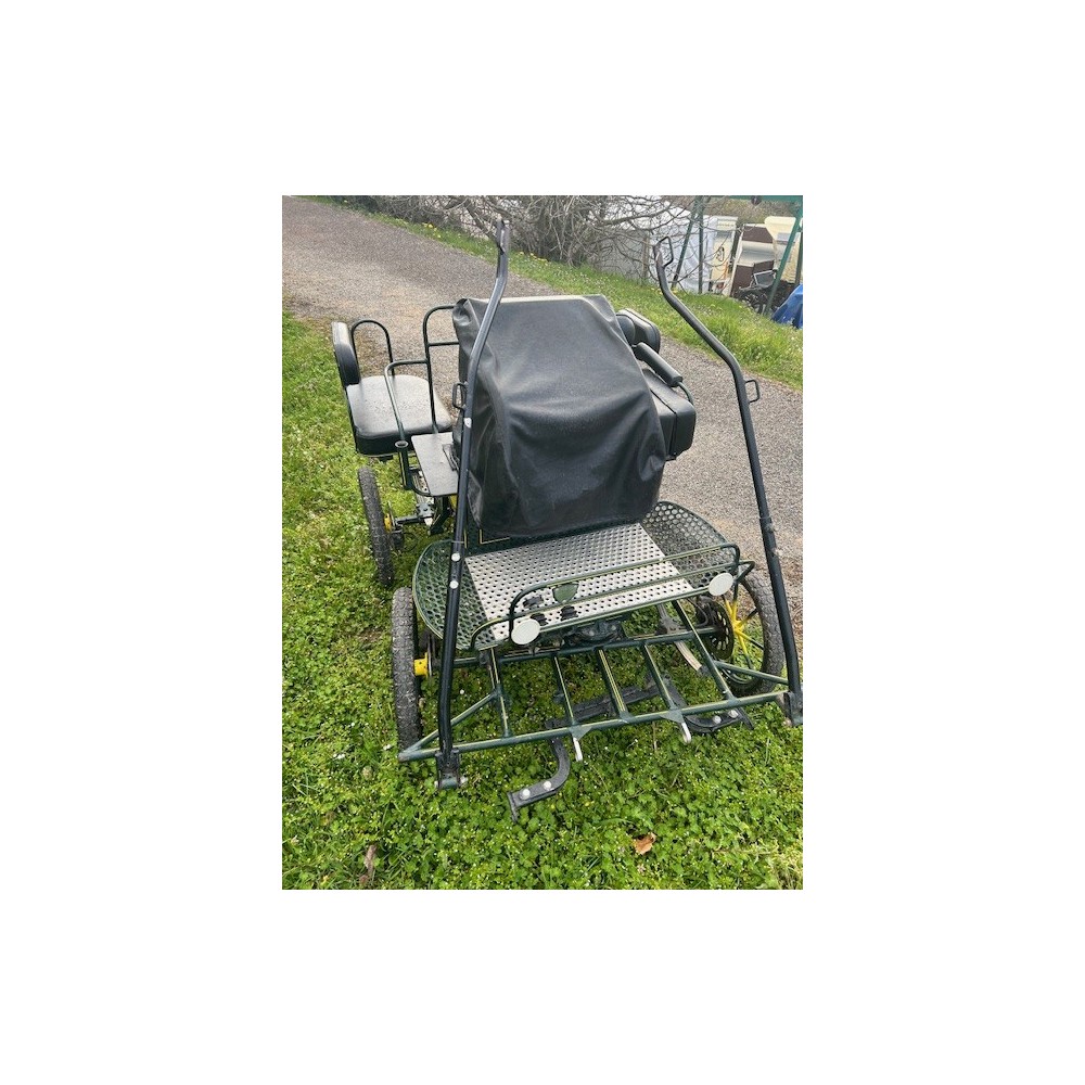 Voiture solo loisir poney