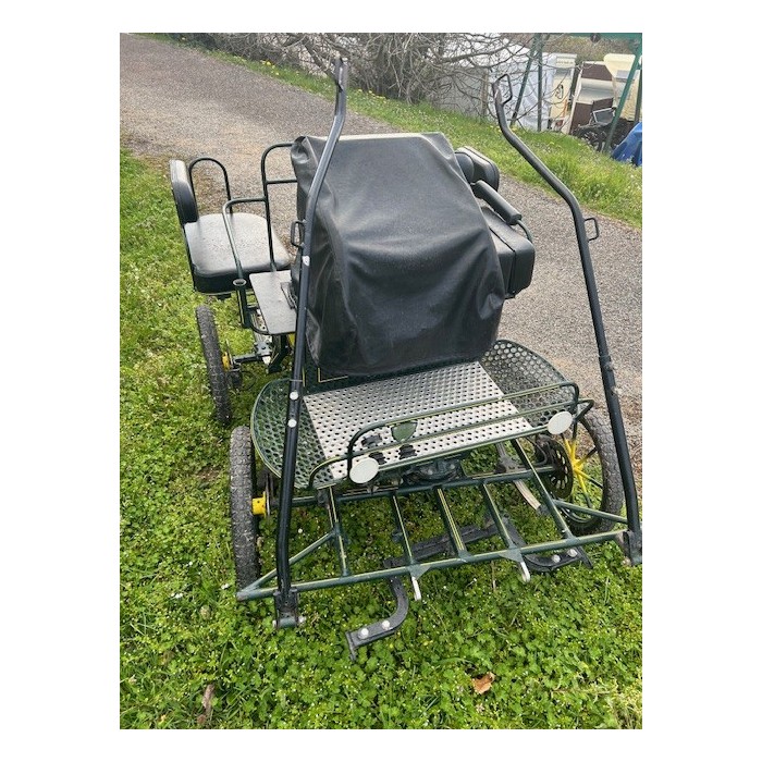 Voiture solo loisir poney