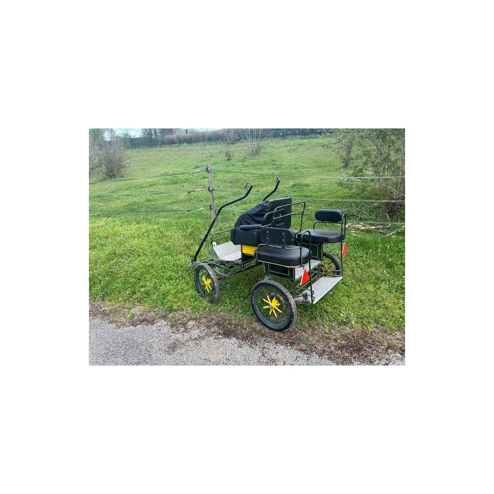 Voiture solo loisir poney