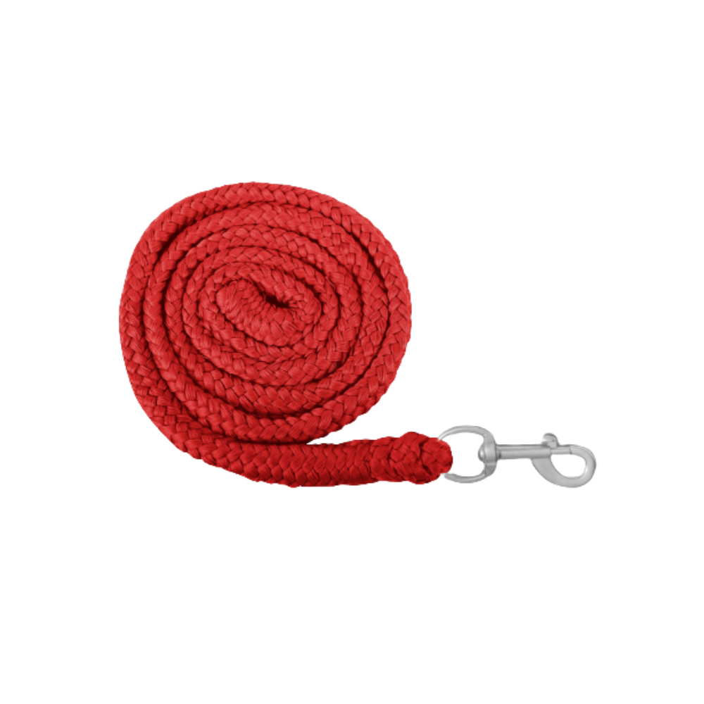 Longe Eco - Waldhausen