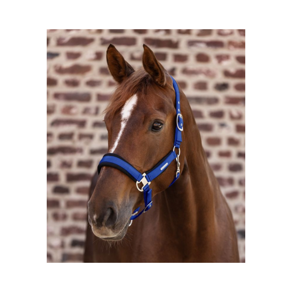 Licol Breath WALDHAUSEN