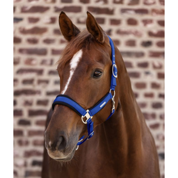 Licol Breath WALDHAUSEN