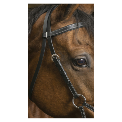 Side-pull Pro Confort - Norton 2