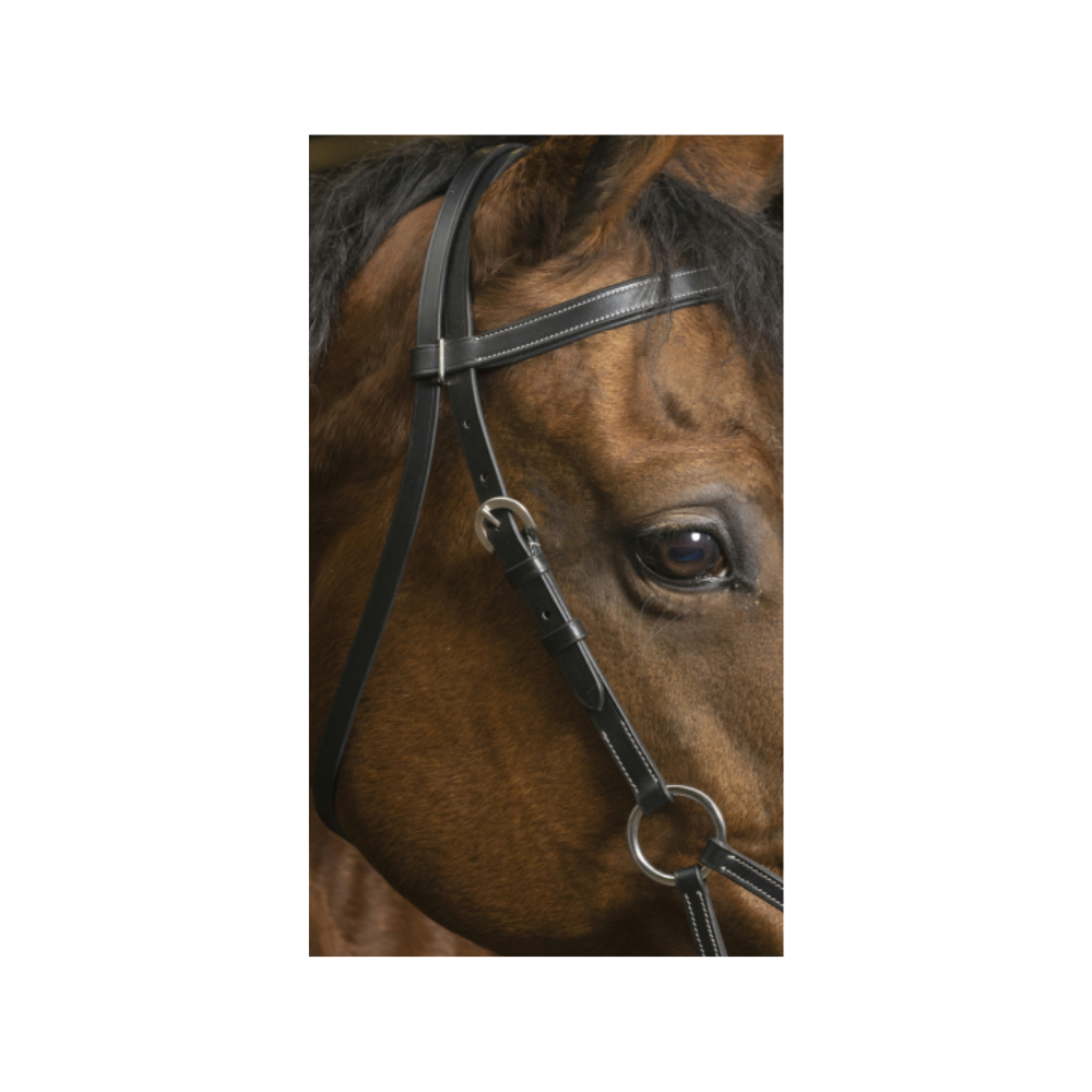 Side-pull Pro Confort - Norton