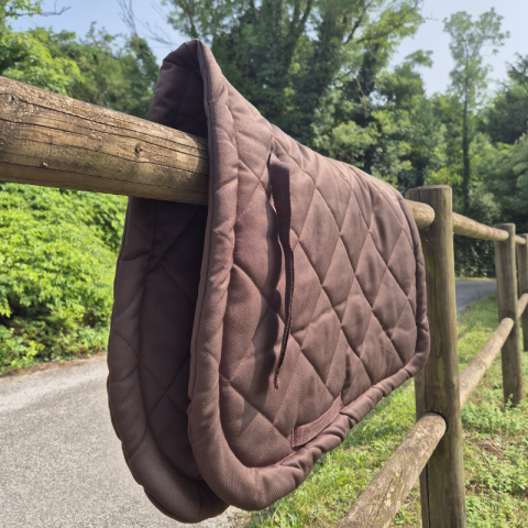 Tapis classique SB 2