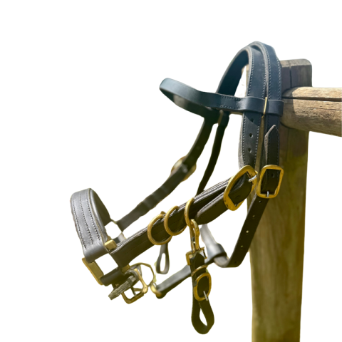 Bridon-licol Cheval de trait