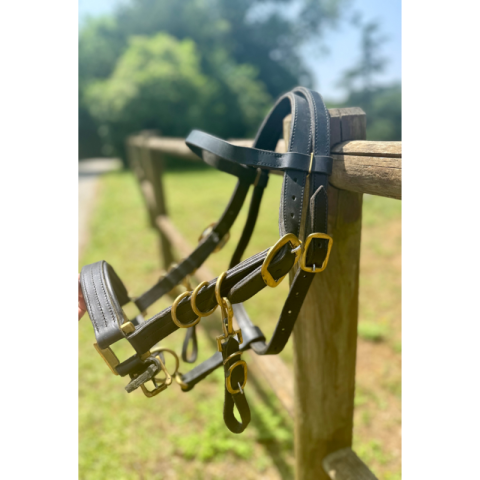 Bridon-licol Cheval de trait 2