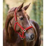Licol Satin - WALDHAUSEN