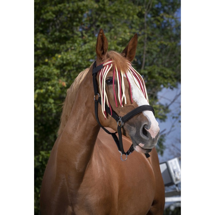 Frontal chasse-mouches Norton