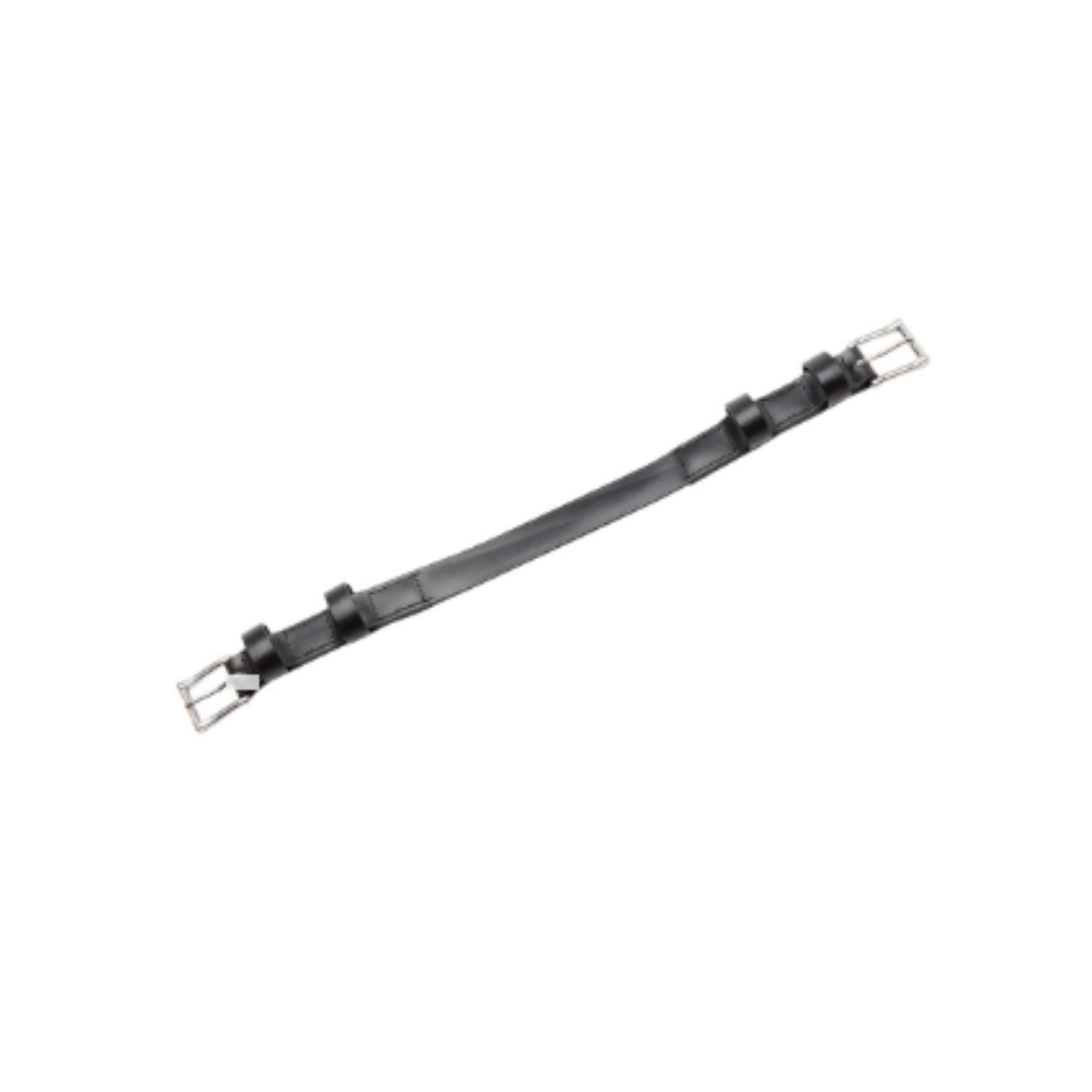 fausse bande ventrale - ZILCO