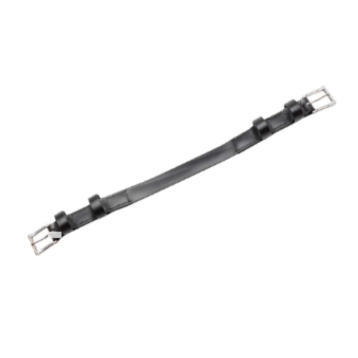 fausse bande ventrale - ZILCO