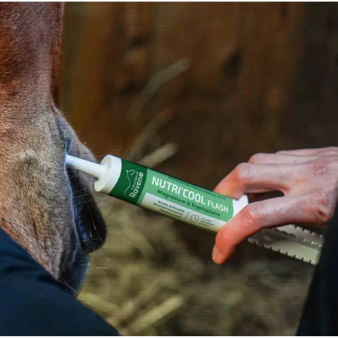 Nutri'cool Flash 30ml - Ravene 2