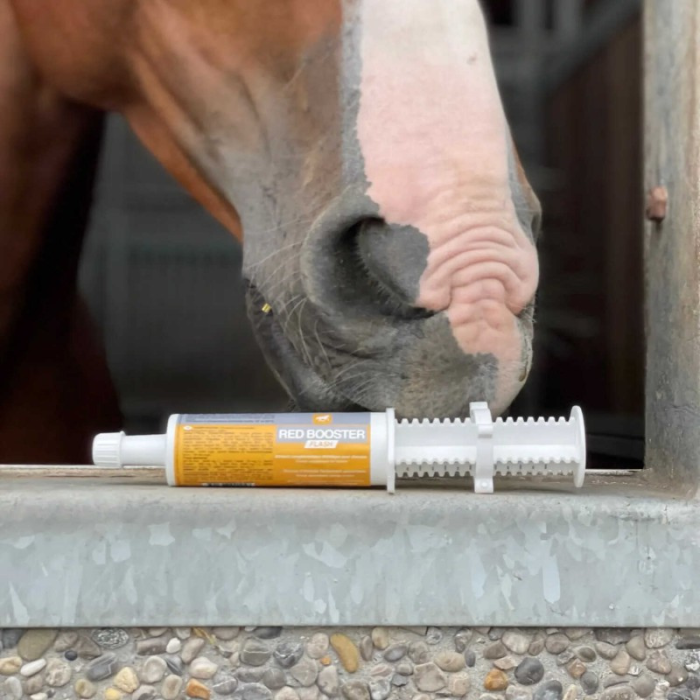 Red Booster Flash - LPC