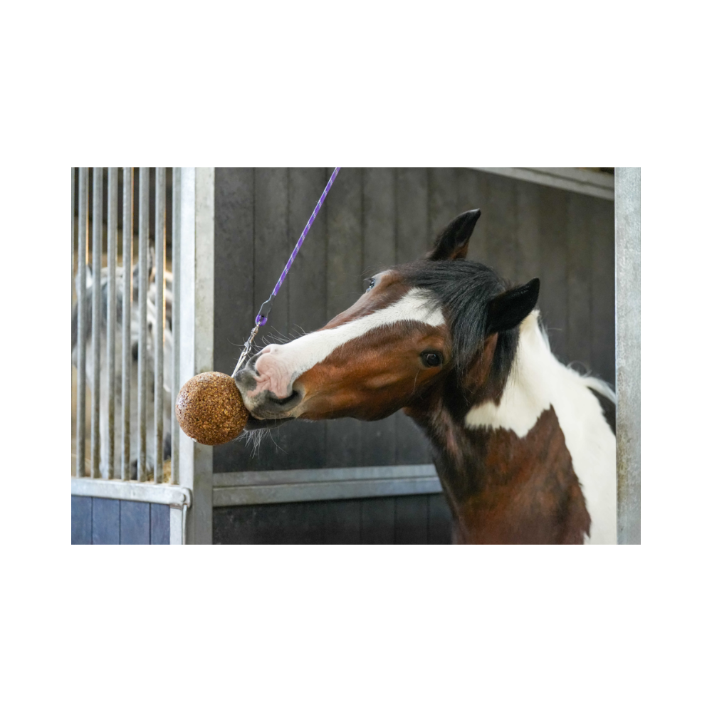 Stall Ball allégé, gout pomme 1,5kg - Likit