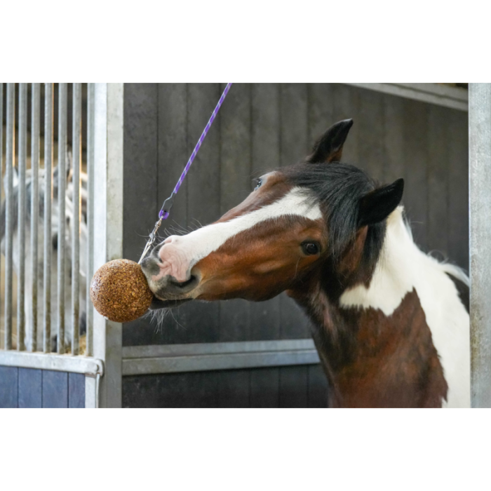 Stall Ball allégé, gout pomme 1,5kg - Likit