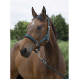 Licol + longe - Norton