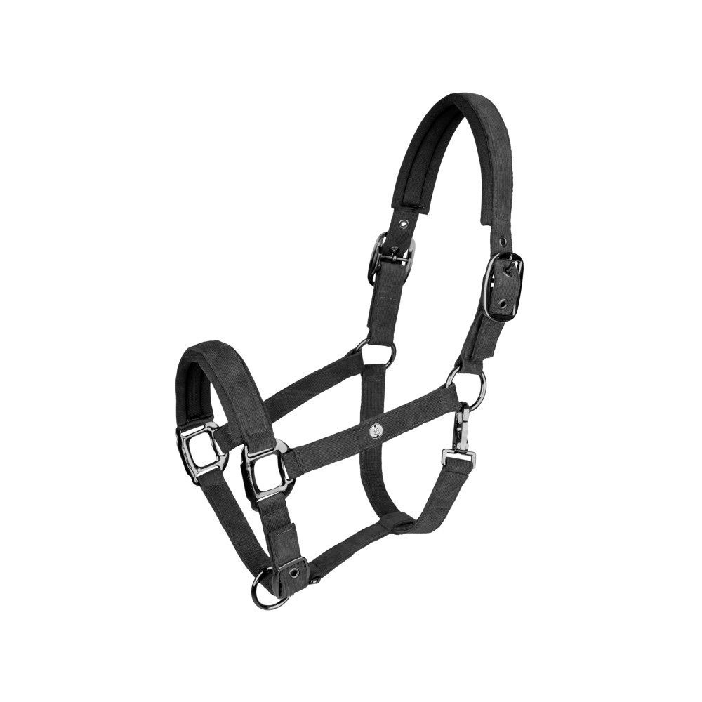 Licol St Gallen Waldhausen