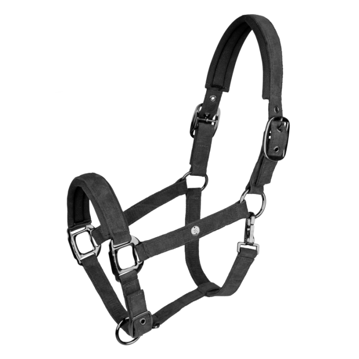 Licol St Gallen Waldhausen