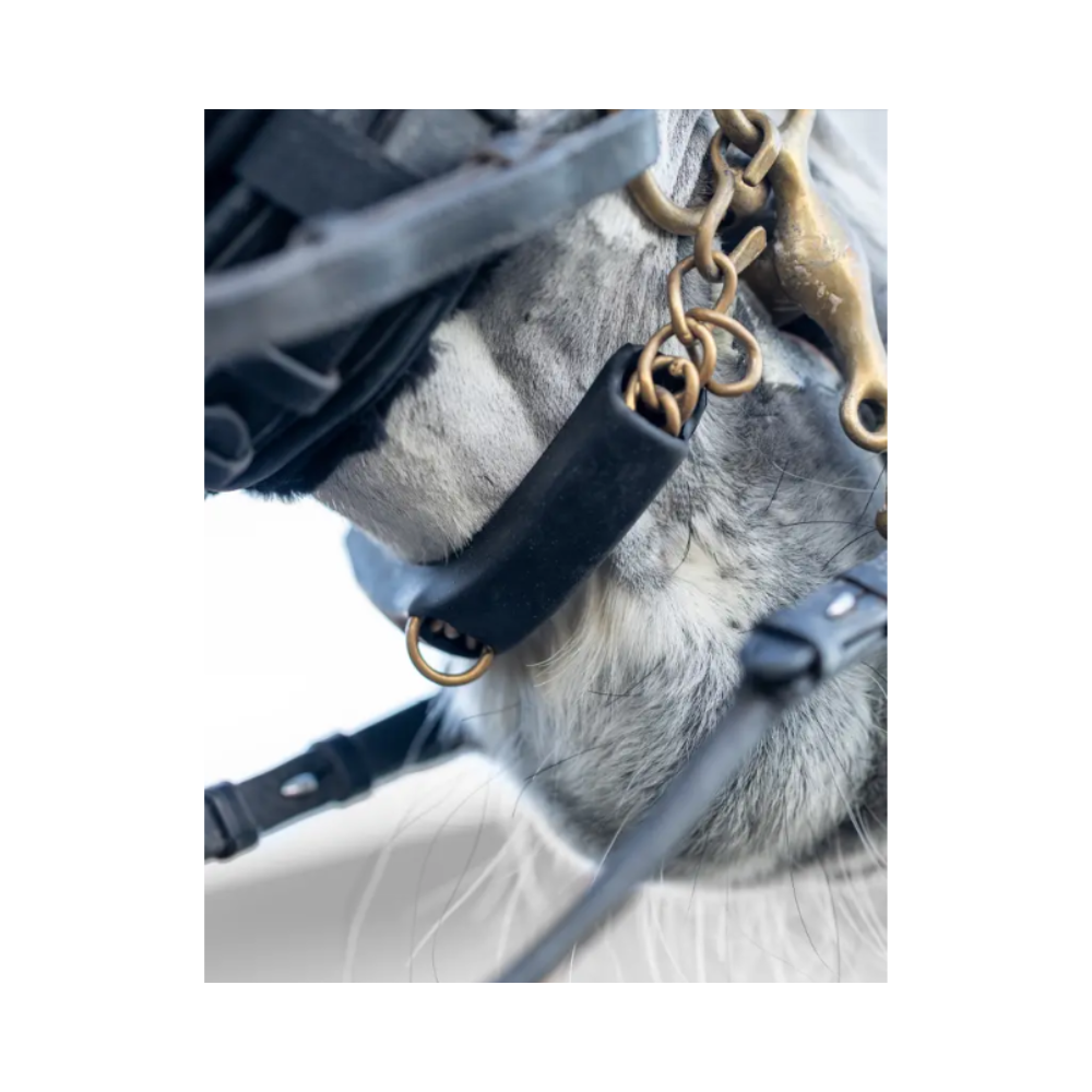 Protection de gourmette - LEMIEUX