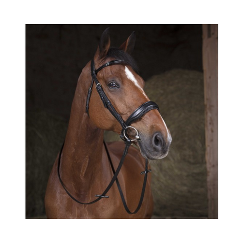 Rênes de filet - NORTON PRO