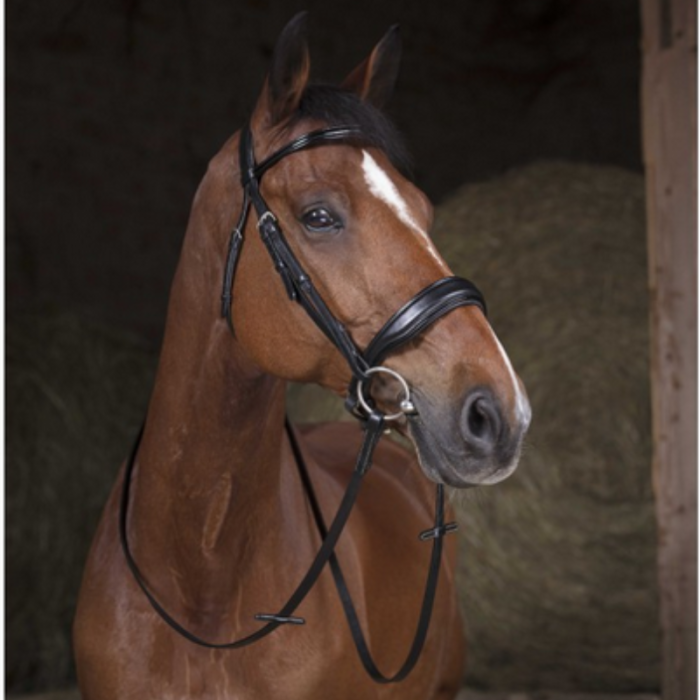 Rênes de filet - NORTON PRO