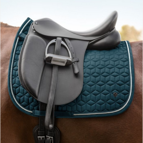 Chabraque dressage Philadelphia