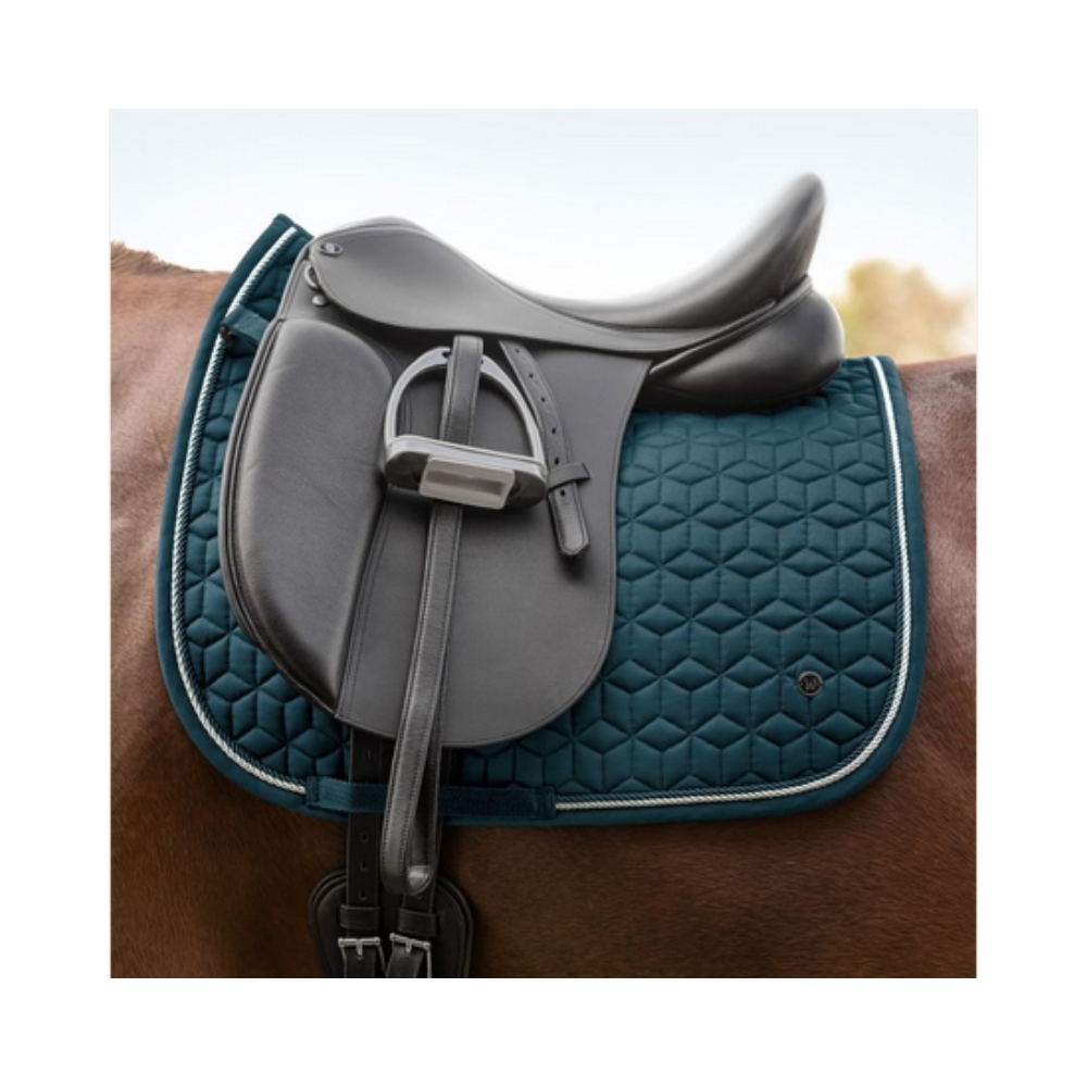 Chabraque dressage Philadelphia Chabraque dressage Philadelphia