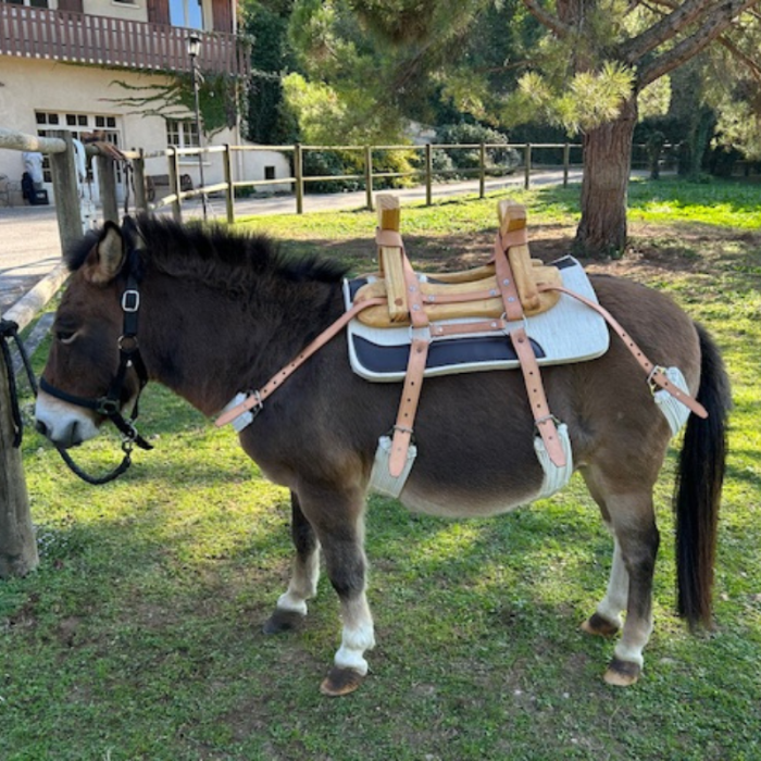 Sangle à brins en coton