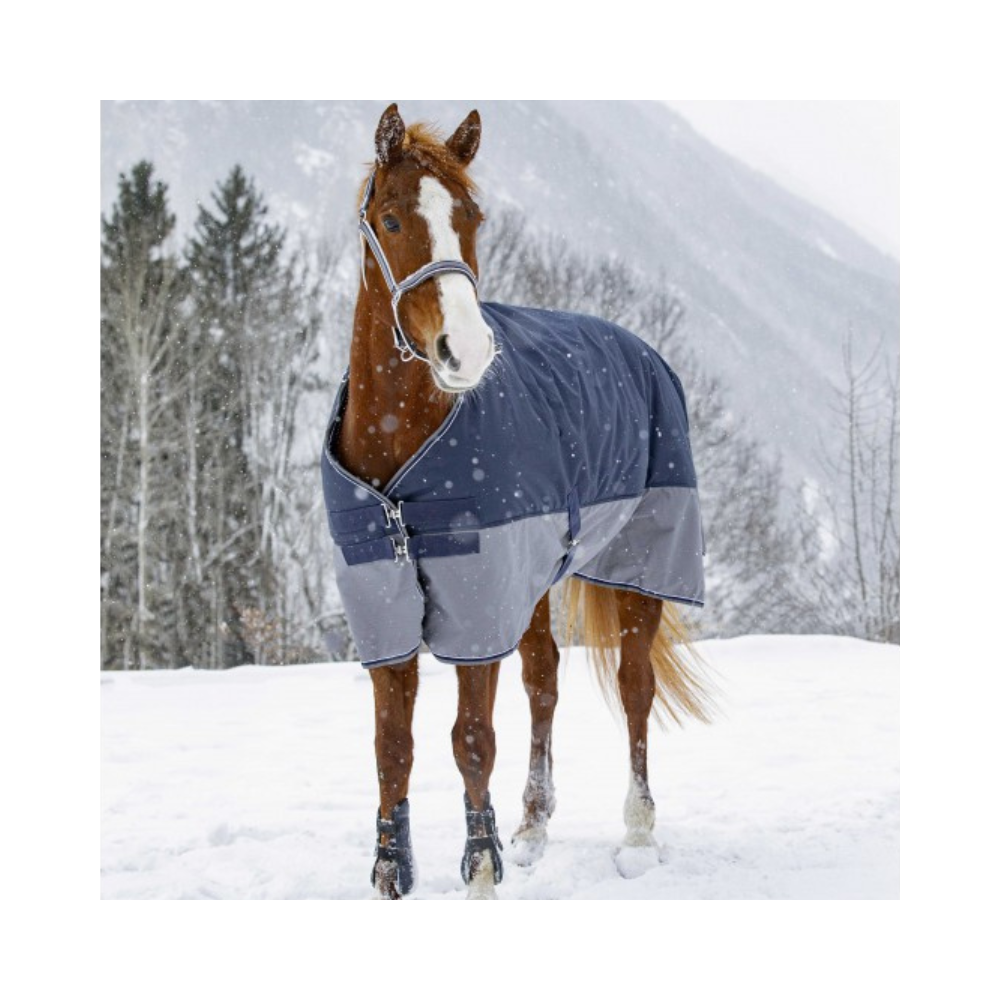 Couverture EQUITHÈME "TYREX 600 D"