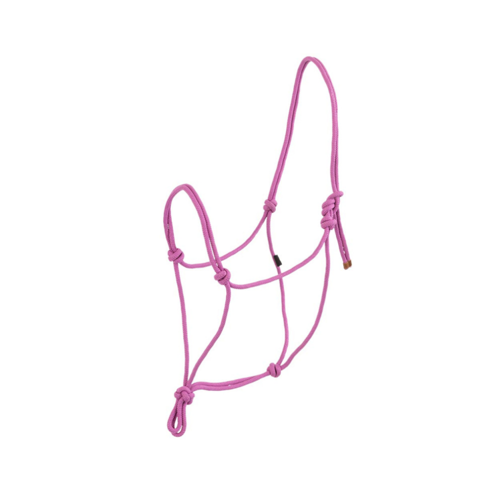 Licol éthlogique - BR