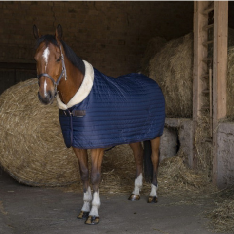 Couverture écurie Teddy EQUITHÈME