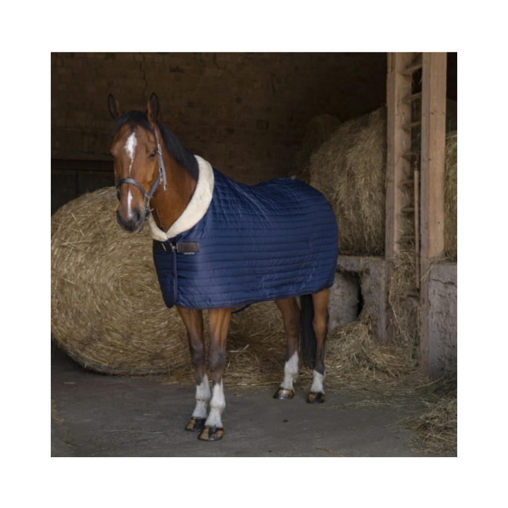 Couverture écurie Teddy EQUITHÈME
