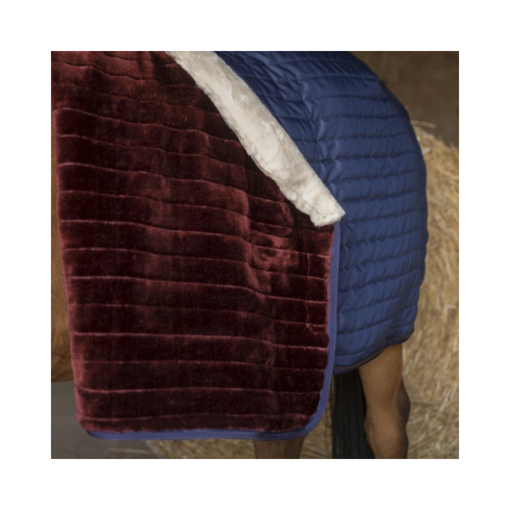 Couverture écurie Teddy EQUITHÈME