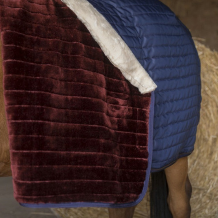 Couverture écurie Teddy EQUITHÈME