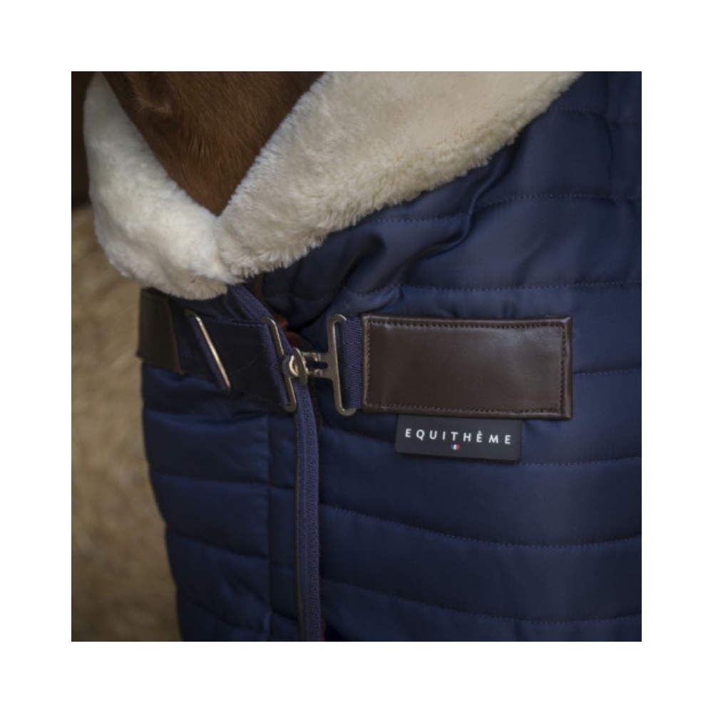 Couverture écurie Teddy EQUITHÈME