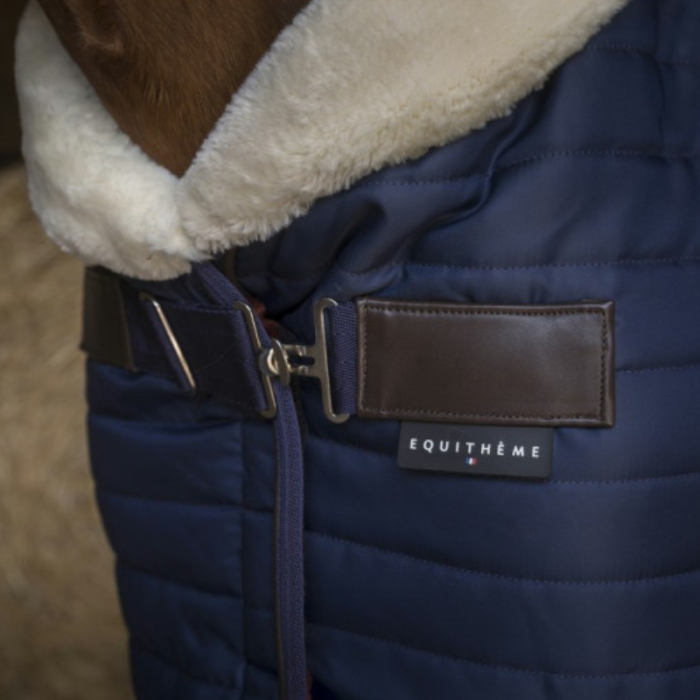 Couverture écurie Teddy EQUITHÈME