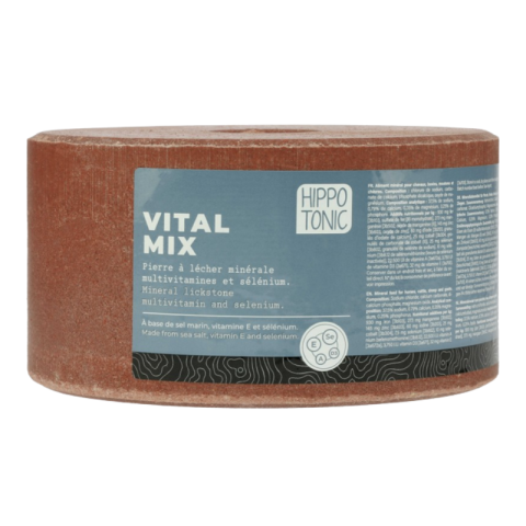 Pierre à sel - HIPPOTONIC 2