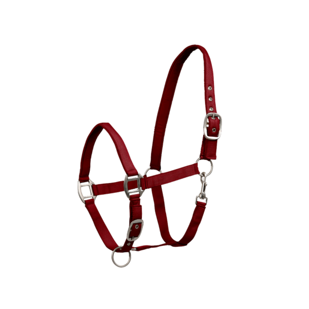 Licol Satin - WALDHAUSEN