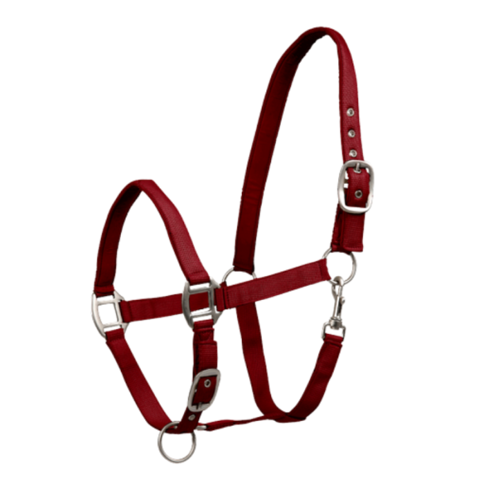 Licol Satin - WALDHAUSEN