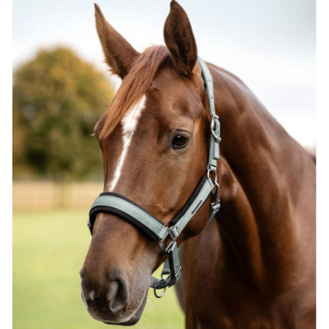 Licol Soft Touch - Waldhausen