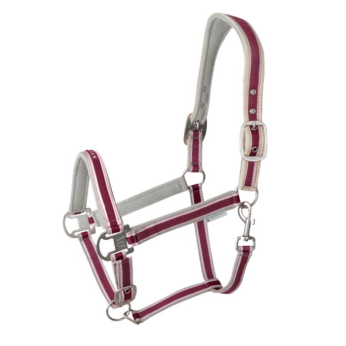 Licol Atheltic - Waldhausen