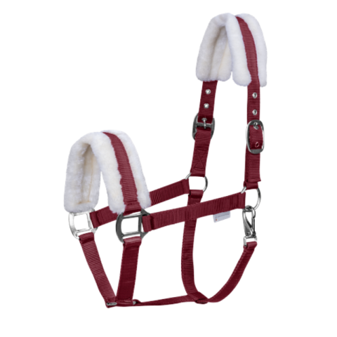 Licol First - Waldhausen