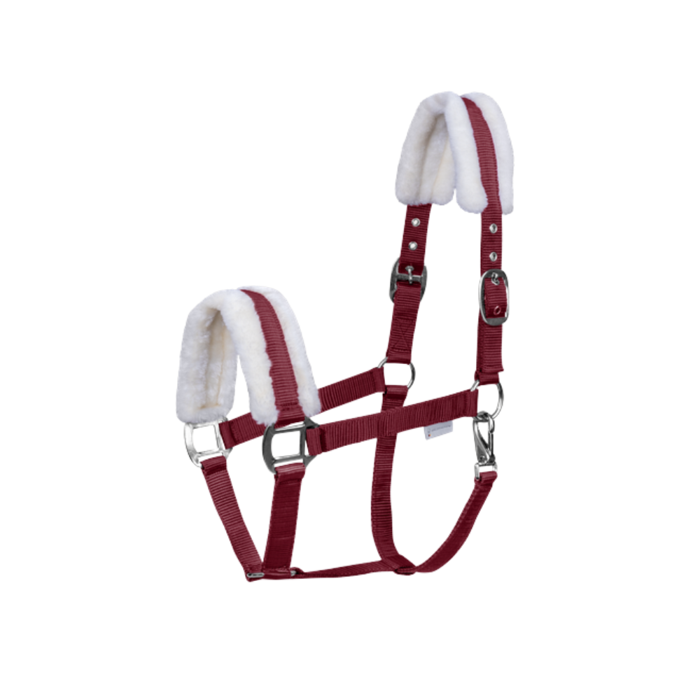 Licol First - Waldhausen