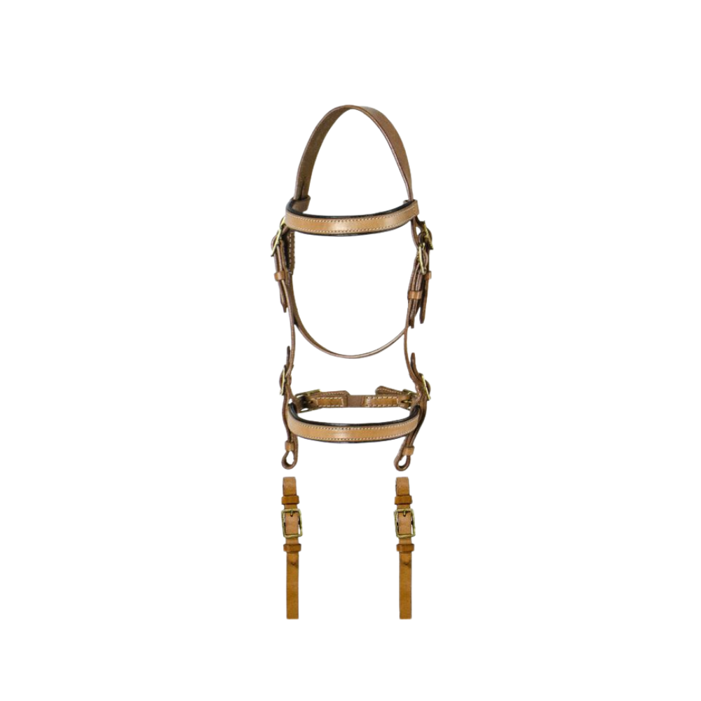 Bride sarde avec rênes