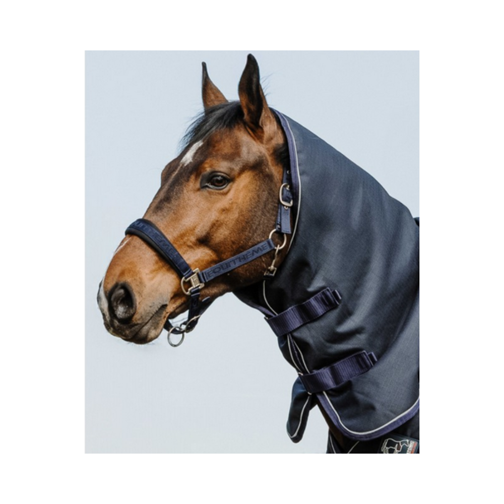 Couvre-cou Anatomic 1200D