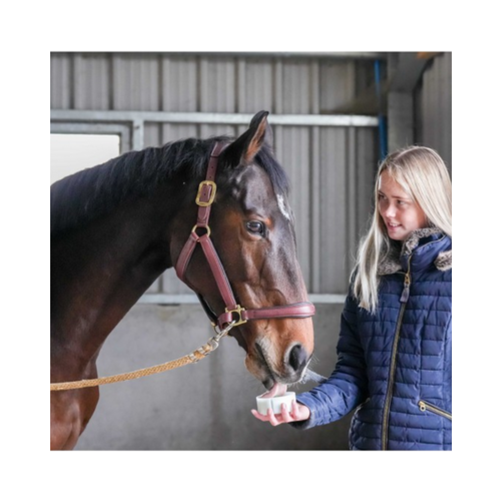 Pierre à lécher Little - LIKIT